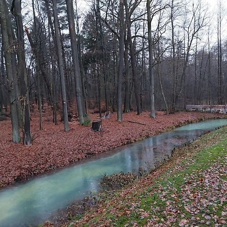 Gaestehaus Vergissmeinnicht Guteborn 외부 사진
